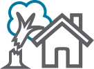 View Our Services